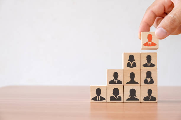 istock Business concept of Human resource 1164641341