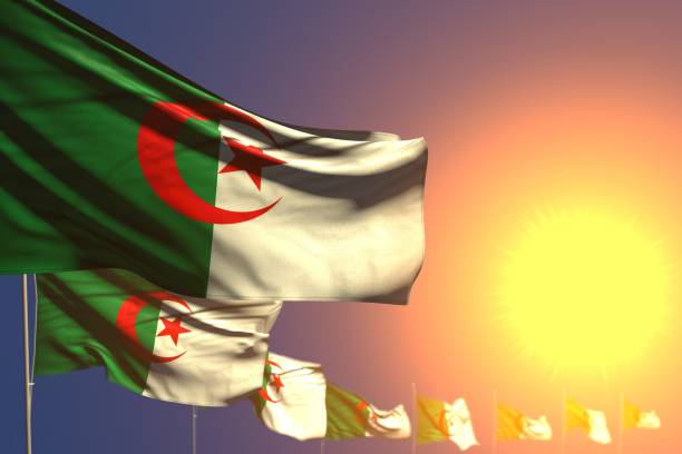 istock cute holiday flag 3d illustration
 - many Algeria flags on sunset placed diagonal with selective focus and place for text 1164644166