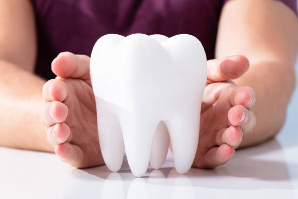 istock Hands Protecting Healthy Hygienic White Tooth 1164644275