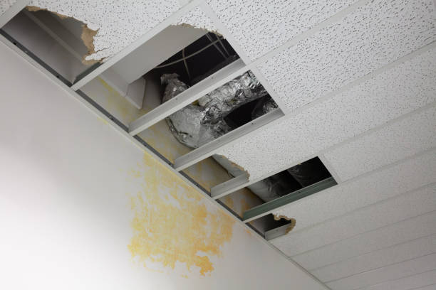 istock Close-up Of Damaged Ceiling 1164644758