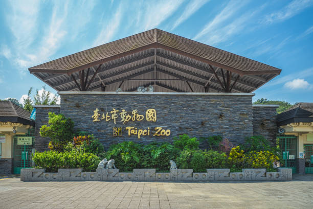 Taipei Zoo in taiwan Taipei Zoo, alson known as Muzha Zoo, the most famous zoological garden in Taiwan and the largest zoo in Asia, opened in 1914. taipei zoo stock pictures, royalty-free photos & images