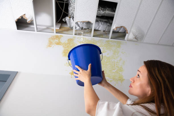 istock Woman Holding A Blue Bucket Under The Leak Ceiling 1164645517