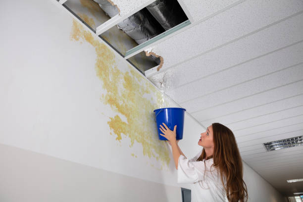 istock Woman Holding A Blue Bucket Under The Leak Ceiling 1164645534