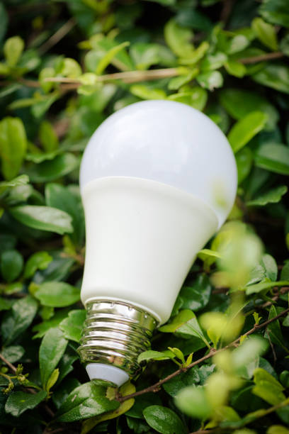 istock Energy saving LED BULB ECO With the environment 1164652347