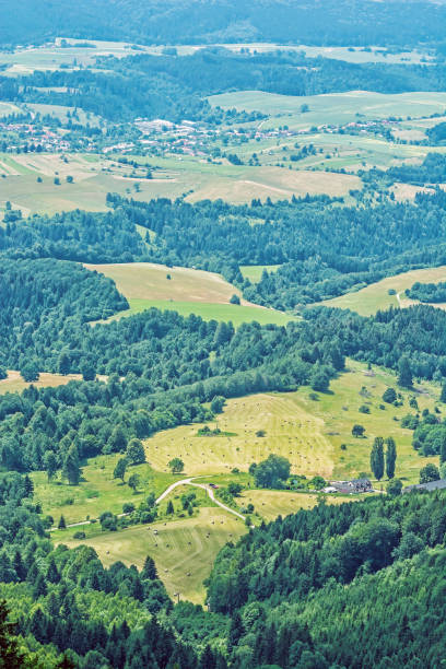 campo do monte de hrb, vepor, slovakia - 13422 - fotografias e filmes do acervo