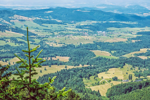 campagna dalla collina di hrb, vepor, slovacchia - 13417 foto e immagini stock