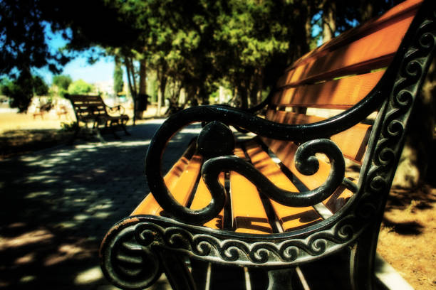 A close-up shot of bench in the park.