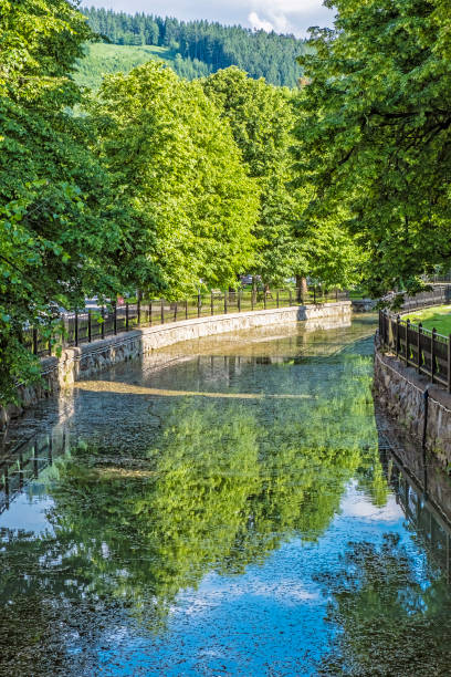 istock Tree alley is reflected in the little river, Bytca, Slovakia 1164653574