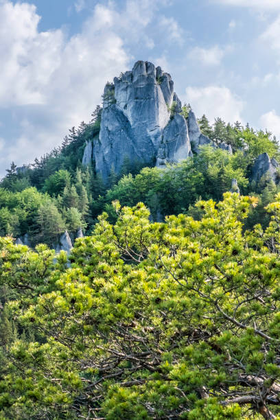 istock Sulov rocks, Slovakia, hiking theme 1164657837