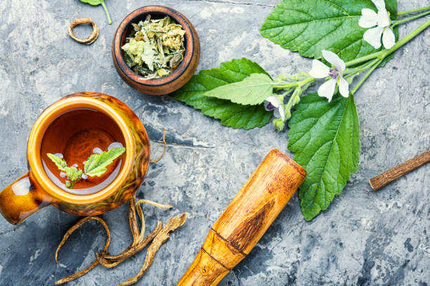 althaea herbata ziołowa - marsh mallow plant zdjęcia i obrazy z banku zdjęć