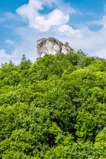 istock Brada hill, Sulov rocks, Slovakia, hiking theme 1164658860