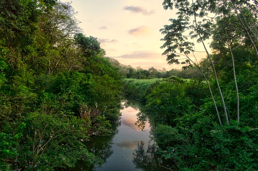 Beautiful natural landscape of the river in Panama. Tropical green forest with great vegetation and mountains in the background. Beautiful sunset with warm colors. Tranquility of the current of the river water.