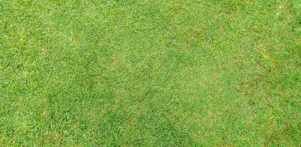 istock Green glass on the ground. 1164664190
