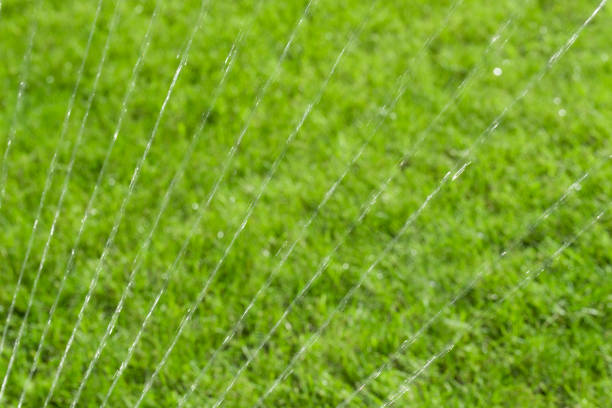 Sprinkler watering lawn with water See ‘The Great Outdoors’ Collection
