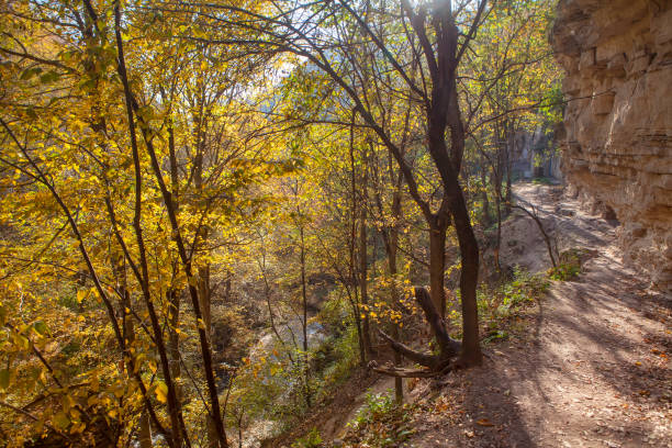 istock walking in autumn nature 1164668283