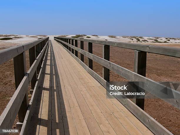 Photo libre de droit de Pont Plage banque d'images et plus d'images libres de droit de Côte d'émeraude - Veracruz - Côte d'émeraude - Veracruz, Floride - Etats-Unis, Angle de prise de vue