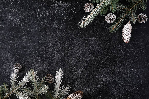Weihnachten schwarzer Hintergrund mit verschneiten Tannenbaum und Zapfen. Top-Ansicht mit Kopierraum