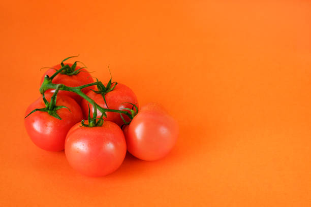 istock Ripe fresh tomatoes on branch on orange background 1164672526