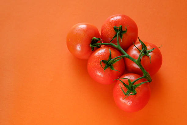 istock Ripe fresh tomatoes on branch on orange background 1164672566