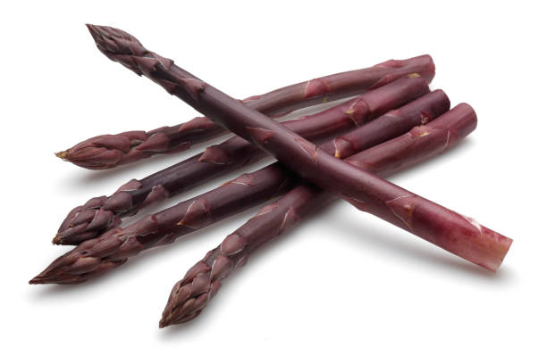 istock Purple passion asparagus isolated on white 1164673211