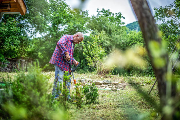 istock The elderly man is mowing the grass in the yard 1164673235
