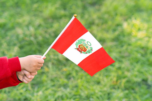 Hands of kid girl holding Peru flag. Independence Day concept. Green grass background.