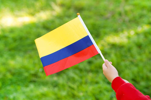 Hands of kid girl holding Venezuela flag. Independence Day concept. Green grass background.