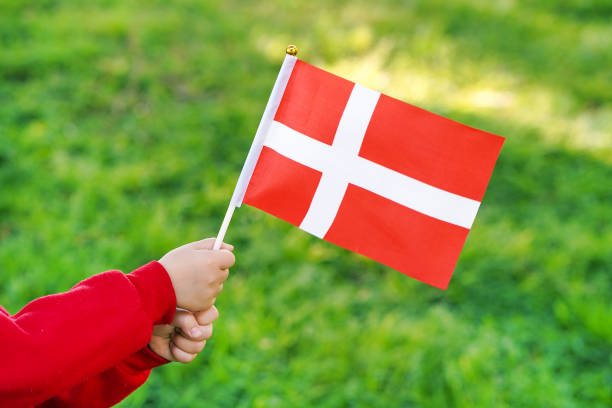 istock Little girl hands hold Denmark flag 1164674498