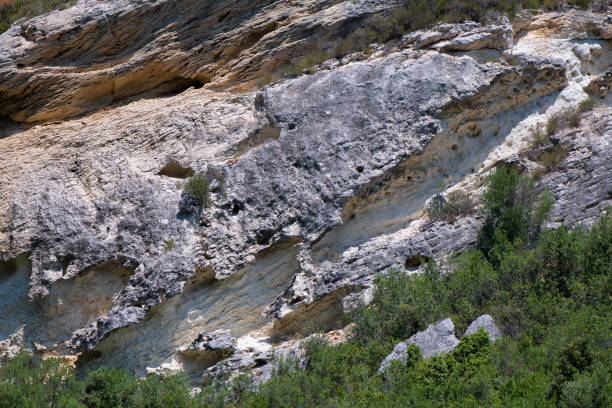 Sedimentary formations in the north of Corsica with endemic plants colonizing the hostile environment.
