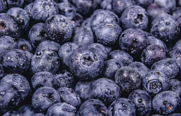 istock Blueberry background. Fresh Organic Blueberries. Fresh wet blueberries 1164676322