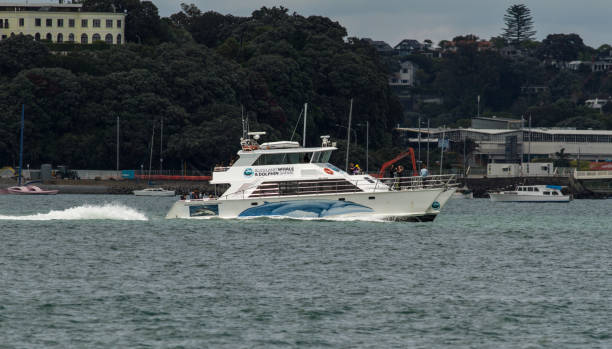 barco que compete ao longo do beira-rio de auckland - 7649 - fotografias e filmes do acervo