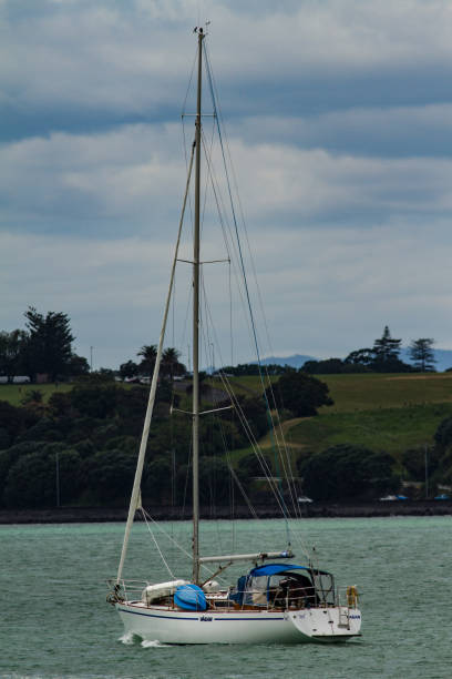 wyścigi łodzi wzdłuż nabrzeża auckland - 7591 zdjęcia i obrazy z banku zdjęć