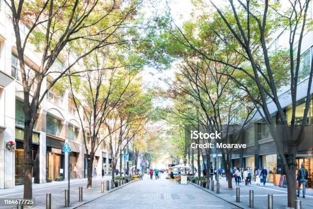 Autumn In Marunouchi Office District１ Stock Photo - Download Image Now - City, Town, Street