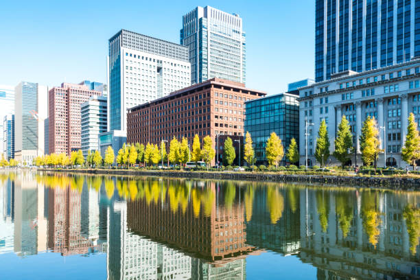 upadek dzielnicy biurowej marunouchi odzwierciedlony w powierzchni wiosny1 - ginkgo ginkgo tree leaf water zdjęcia i obrazy z banku zdjęć