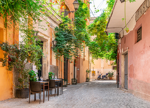 Cozy street with plants in Trastevere, Rome, Europe. Trastevere is a romantic district of Rome, along the Tiber in Rome. Turistic attraction of Rome.