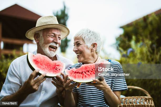 자연에서 피크닉 하루 동안 수박을 먹으면서 즐거운 성숙한 커플 노인에 대한 스톡 사진 및 기타 이미지 - 노인, 여름, 먹기