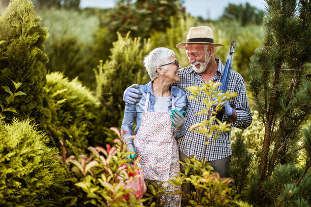 istock Happy senior couple talking while gardening in the back yard. 1164679922
