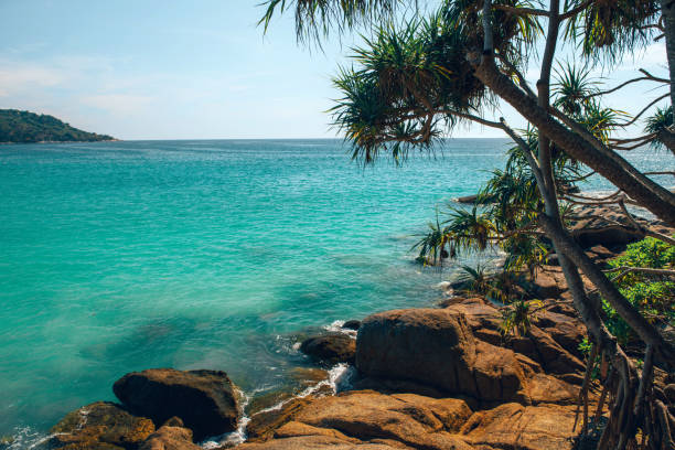 istock Beautiful view on sea in Thailand with stones and threes. Top view. 1164680978