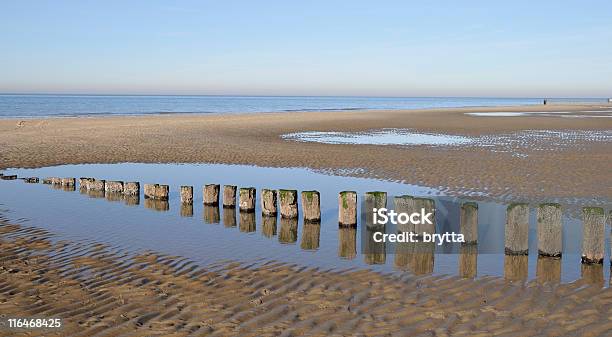 Playa De Mar Del Norte Con Groynes Los Países Bajos Zeeland Foto de stock y más banco de imágenes de Agua