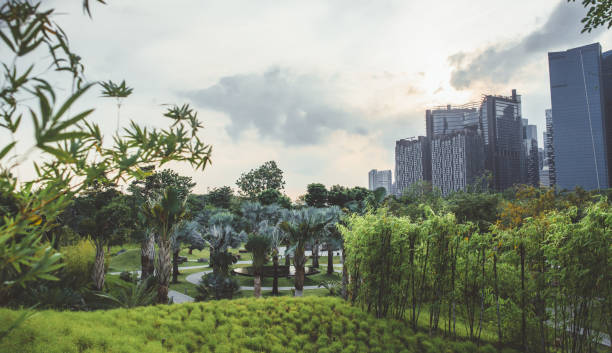 istock Green park sunny morning. Cityscape, landscape, background. 1164686484