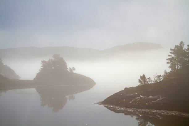 istock Morning mist on the fjord 1164686584