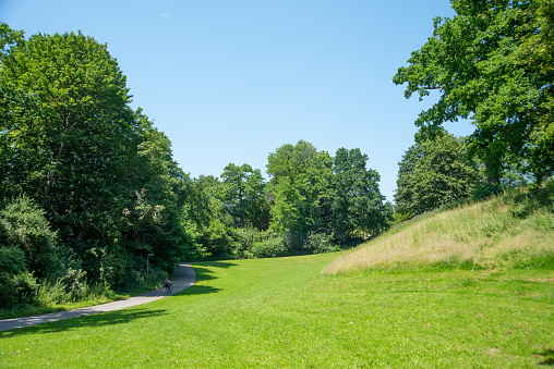 Park landscape. Summer green meadow with long lane.