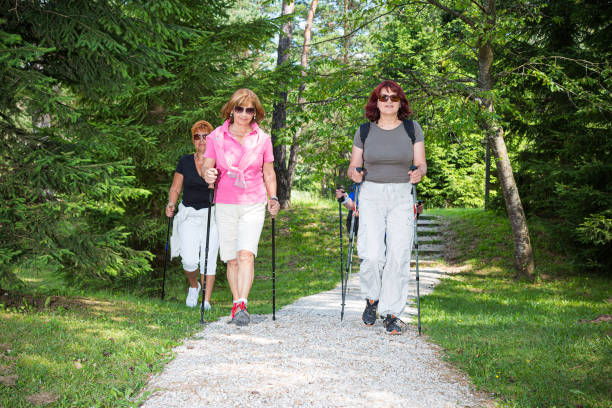istock Senior women Nordic walking 1164687767