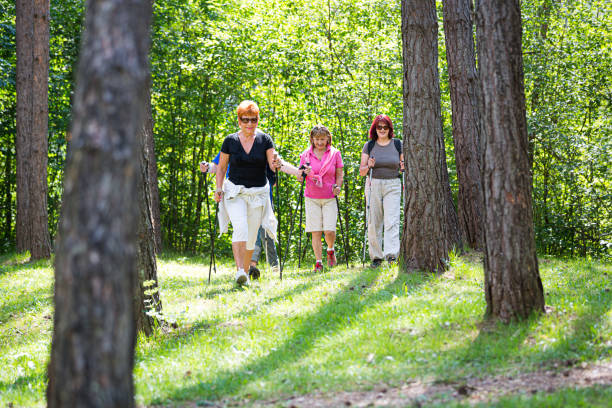 istock Senior women Nordic walking 1164687775