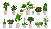 istock Set of decorative houseplants to decorate the interior of a house or apartment. Collection of various plants in pots 1164689040