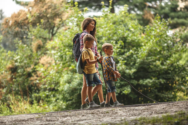 istock Mother and her little sons hiking trough forest . 1164691275