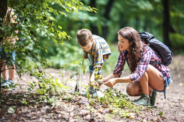 istock Mother and her little sons hiking trough forest . 1164692026