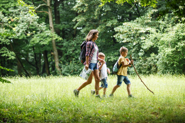 Mother and her little sons hiking trough forest . stock photo