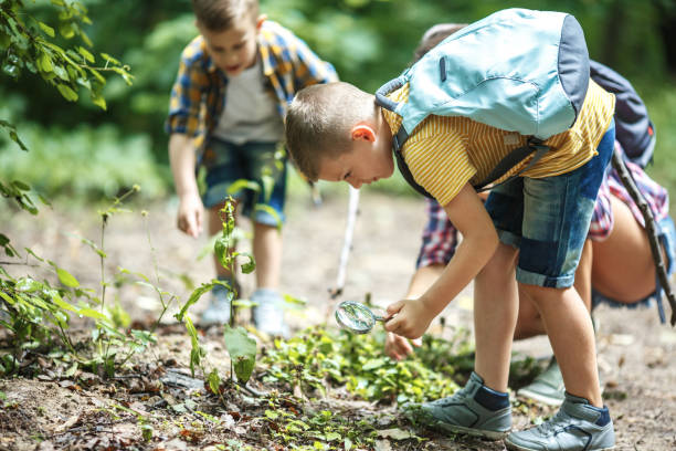 istock Mother and her little sons hiking trough forest . 1164692875