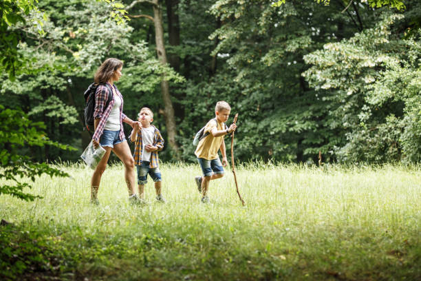 istock Mother and her little sons hiking trough forest . 1164692954